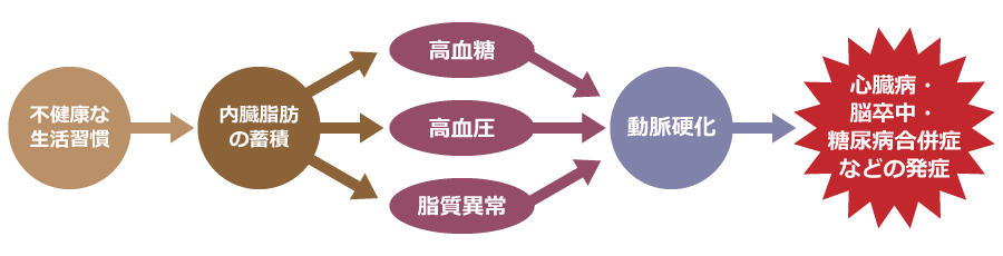 メタボリックシンドロームが起こる仕組み